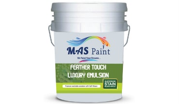 Exterior Paint